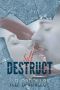 [Destroy 01] • Self Destruct